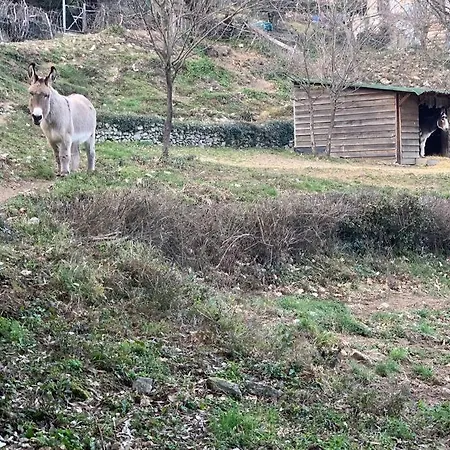 La Source & Pont-de-Labeaume